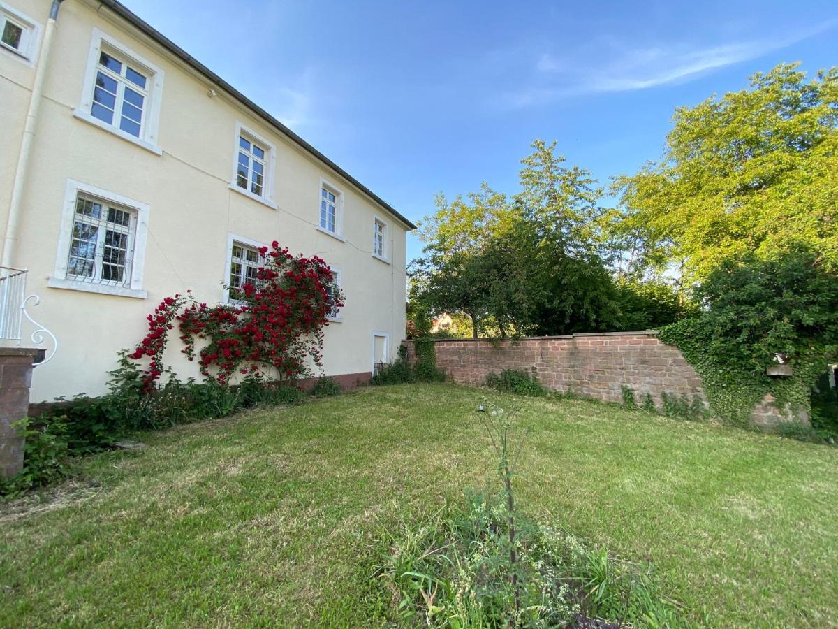 Schloss Hainfeld Exterior foto