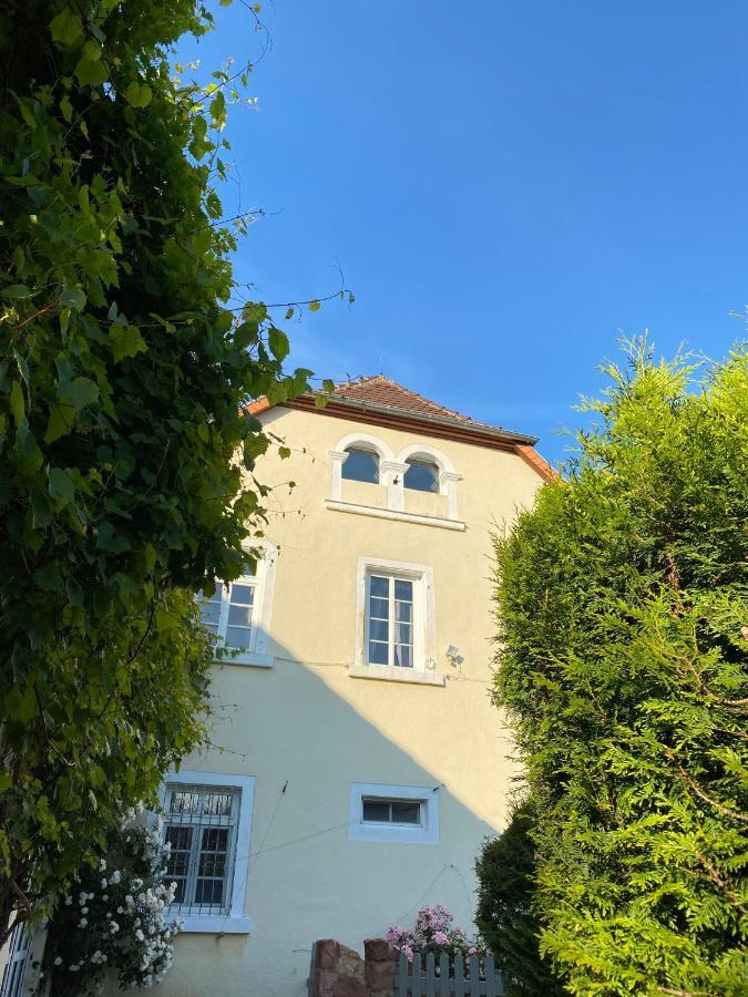 Schloss Hainfeld Exterior foto