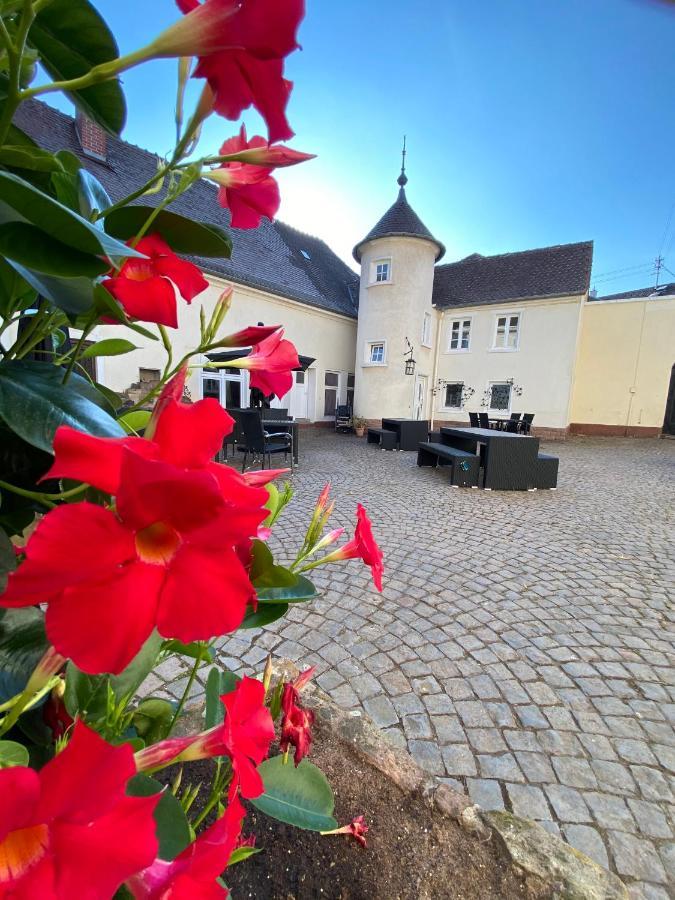Schloss Hainfeld Exterior foto